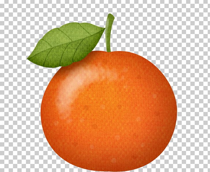 Mandarin Orange Chinese New Year Tangerine Tangelo PNG, Clipart, Apple, Apricot, Bitter Orange, Blog, Blood Orange Free PNG Download