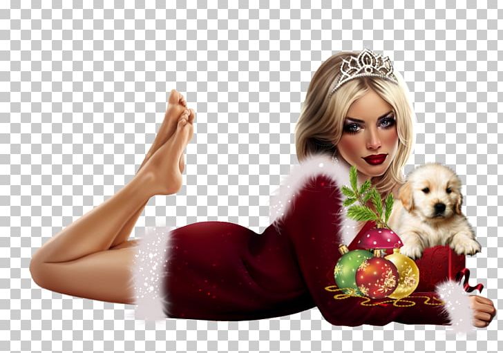 Mrs. Claus Christmas Woman Santa Claus Gift PNG, Clipart,  Free PNG Download