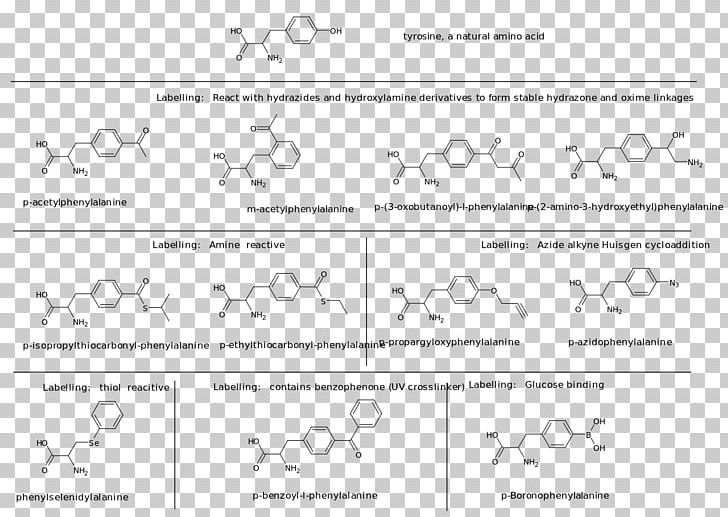 Dietary Supplement Amino Acid Aspartic Acid Protein PNG, Clipart, Acid, Amine, Amino Acid, Angle, Area Free PNG Download