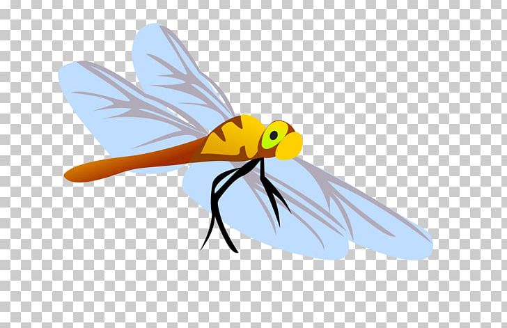 Dragonfly Honey Bee Insect Euclidean PNG, Clipart, Bird, Dragonfly Wings, Dragonfly With Flower, Feather, Happy Birthday Vector Images Free PNG Download