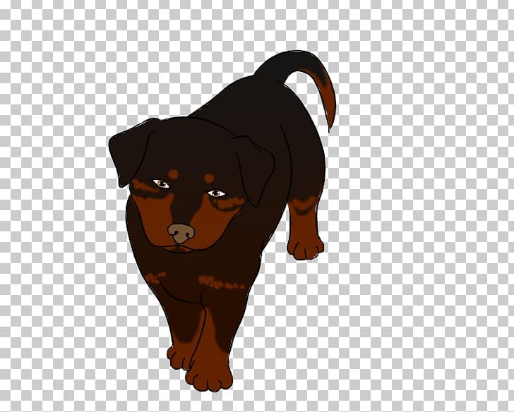 Rottweiler Puppy Dog Breed Snout PNG, Clipart, Animals, Animated Cartoon, Breed, Carnivoran, Dog Free PNG Download