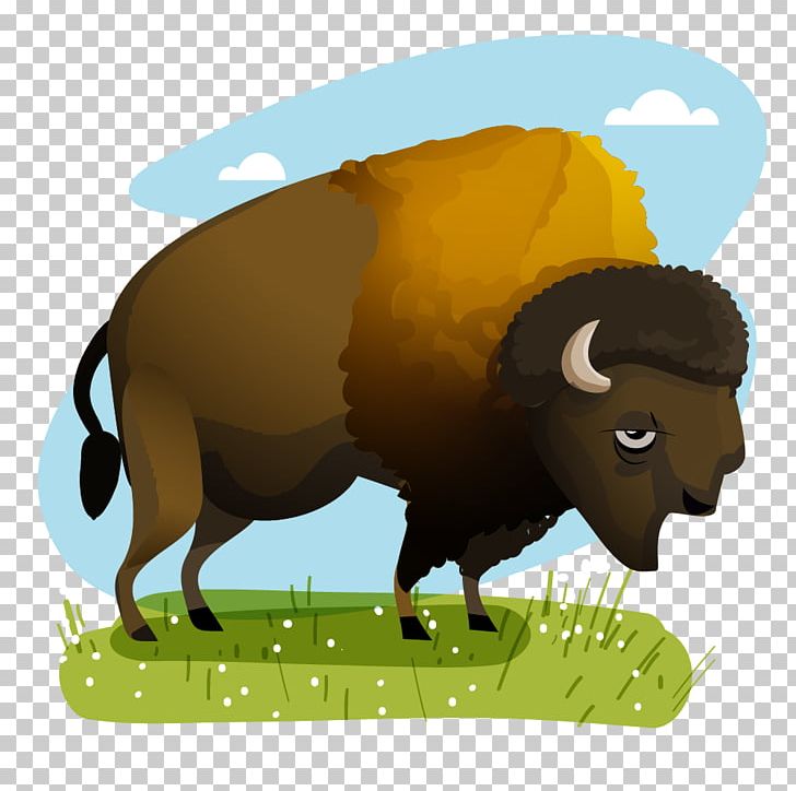 Dairy Cattle Sheep Mexico American Bison PNG, Clipart, American Bison, Animal, Animals, Bison, Bull Free PNG Download