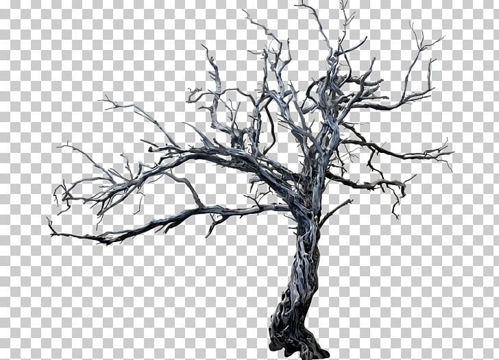 Tree Branch Trunk PNG, Clipart, Black And White, Branch, Branch Collar, Cli, Darkness Free PNG Download