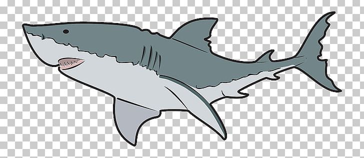 Whale Shark PNG, Clipart, Blue Shark, Carcharhiniformes, Cartilaginous Fish, Cartoon, Fauna Free PNG Download