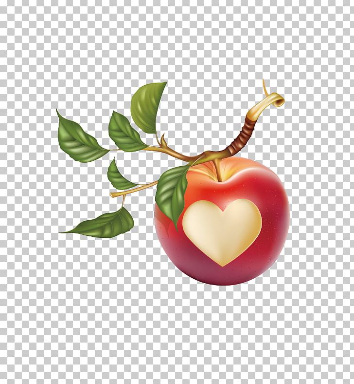 Apple Leaf Fruit PNG, Clipart, Apple, Apple Fruit, Apple Leaf, Apple Logo, Apple Vector Free PNG Download