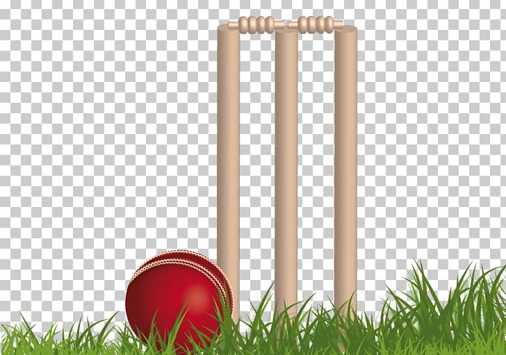 Papua New Guinea National Cricket Team Australia National Cricket Team Indian Premier League Fantasy Cricket PNG, Clipart, Ball, Ball Game, Batting, Club Cricket, Cricket Free PNG Download