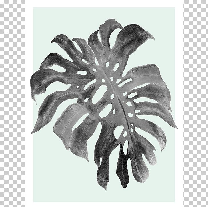 Swiss Cheese Plant Art Canvas Print Philodendron Vine PNG, Clipart, Art, Black And White, Blue, Canvas, Canvas Print Free PNG Download