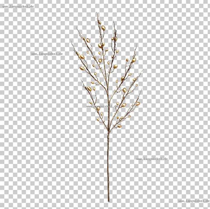 Twig Leaf Plant Stem Grasses PNG, Clipart, Branch, Flowering Plant, Gold Glitter, Grasses, Grass Family Free PNG Download