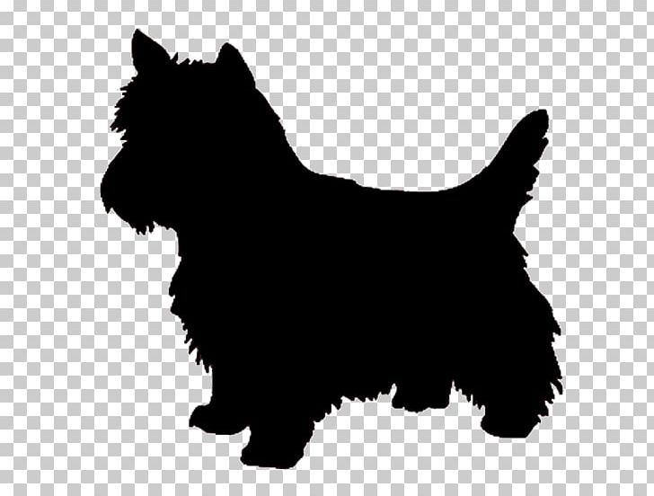 West Highland White Terrier Yorkshire Terrier Airedale Terrier Cairn Terrier PNG, Clipart, Affenpinscher, Animals, Black, Black And White, Carnivoran Free PNG Download
