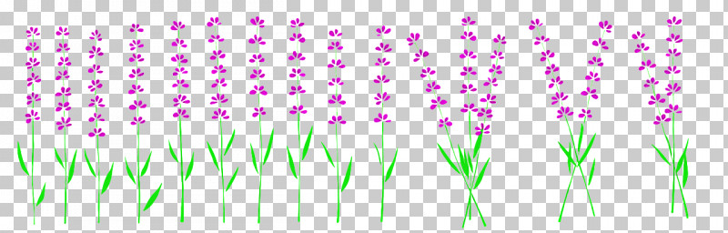 Shower Toto Plant Stem Violet Leaf PNG, Clipart, Green, Leaf, Meadow, Petal, Plants Free PNG Download