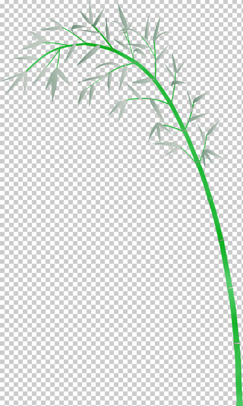 Grass Plant Leaf Plant Stem Grass Family PNG, Clipart, Bamboo, Elymus Repens, Flower, Grass, Grass Family Free PNG Download