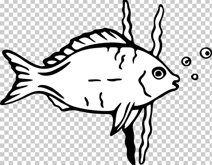 Cartoon Drawing Fish PNG, Clipart, Animals, Animation, Artwork, Cartoon Character, Cartoon Eyes Free PNG Download