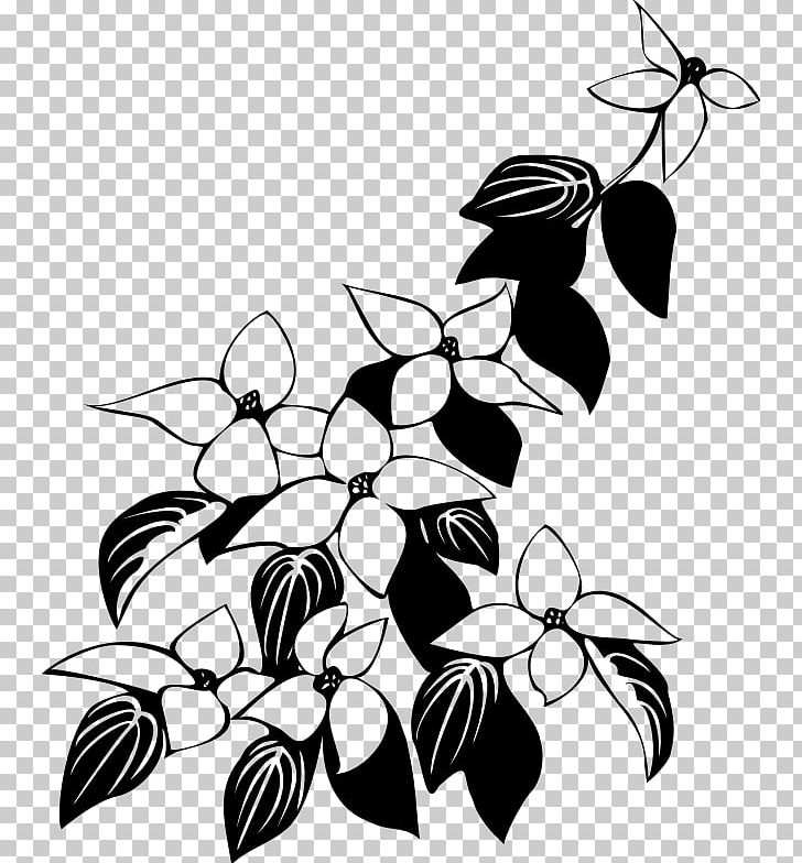 Kousa Dogwood Flowering Dogwood Mboni Landscapers & Projects PNG, Clipart, Black And White, Branch, Cornelian Cherry, Dogwood, Drawing Free PNG Download