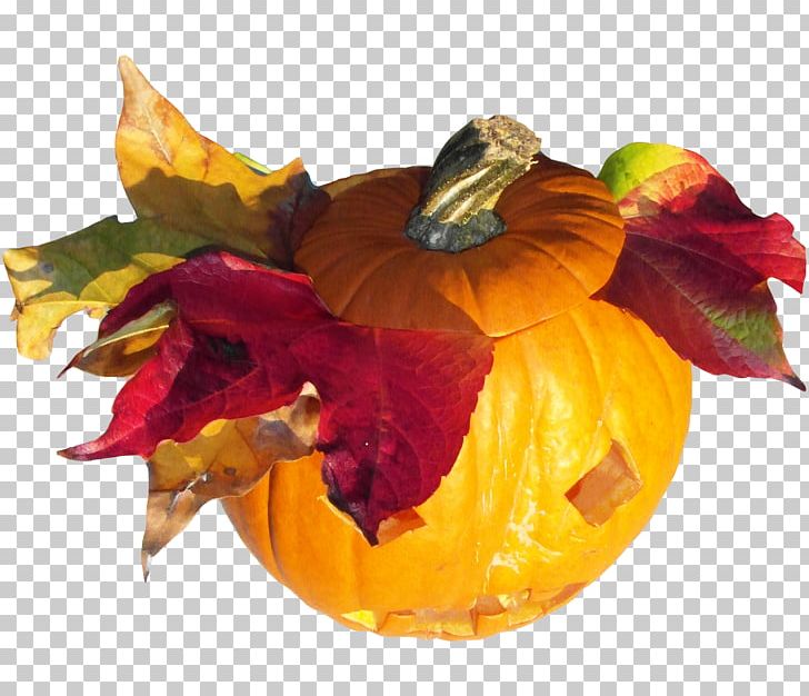 Word PNG, Clipart, Autumn, Flower, Fruit, Halloween, Halloween Pumpkin Free PNG Download