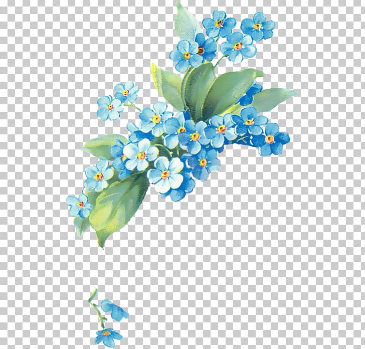 Flower Floral Design Google S PNG, Clipart, Art, Blog, Blue, Blue Flower, Borage Family Free PNG Download