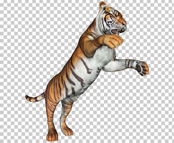 Stalking Tiger Gray Wolf Cat Terrestrial Animal PNG, Clipart, Animal Figure, Animals, Big Cat, Big Cats, Carnivoran Free PNG Download