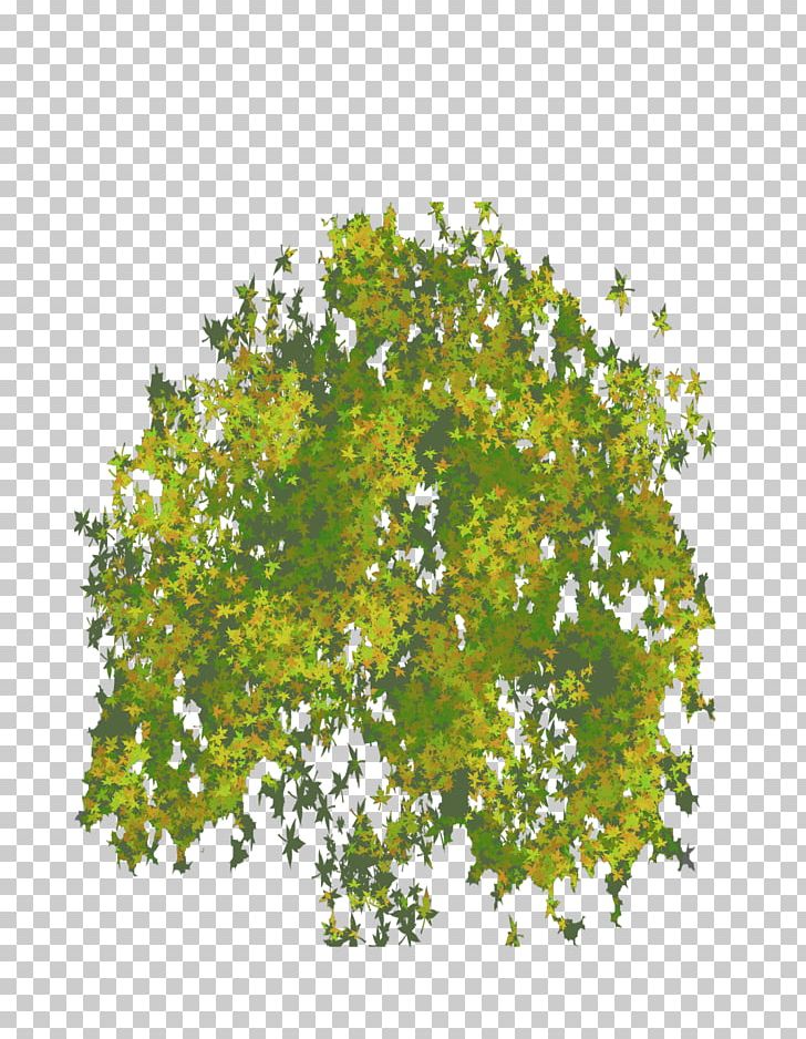 Tree Computer Icons Shrub PNG, Clipart, Architectural Rendering, Branch, Computer Icons, Drawing, Image File Formats Free PNG Download