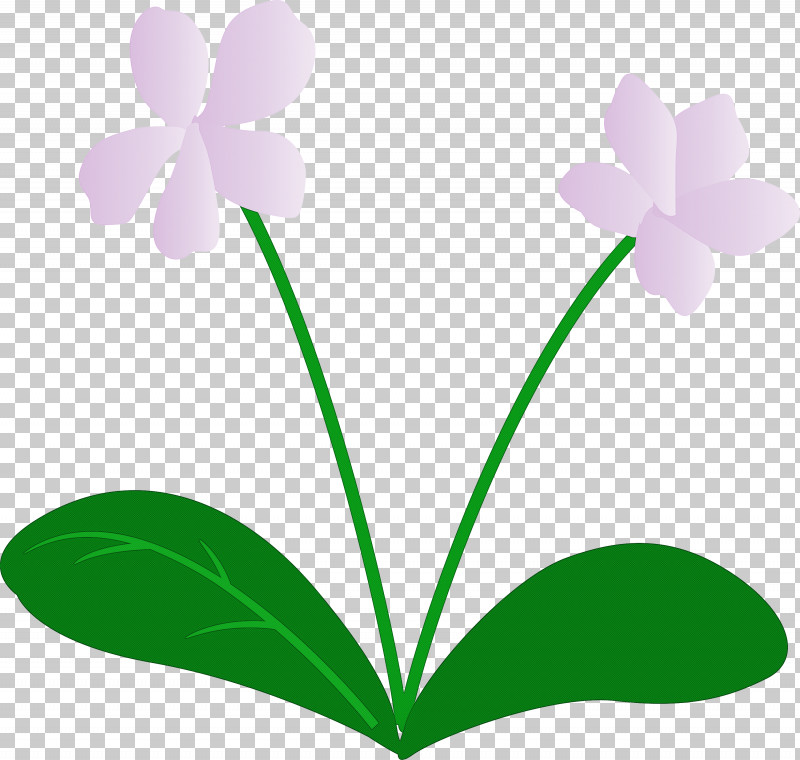 Violet Flower PNG, Clipart, Biology, Flower, Green, Leaf, Meter Free PNG Download