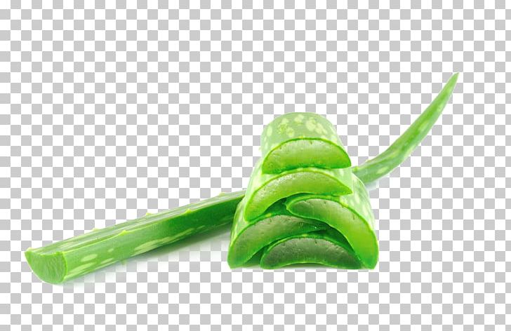 Aloe Vera Cleanser Plant Natural Skin Care PNG, Clipart, Acne, Aloe, Aloe Plant, Aloe Vera, Aloe Vera Crush Free PNG Download