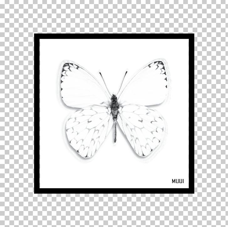 Brush-footed Butterflies Butterfly Moth PNG, Clipart, Area, Black And White, Brush Footed Butterfly, Butterfly, Insect Free PNG Download