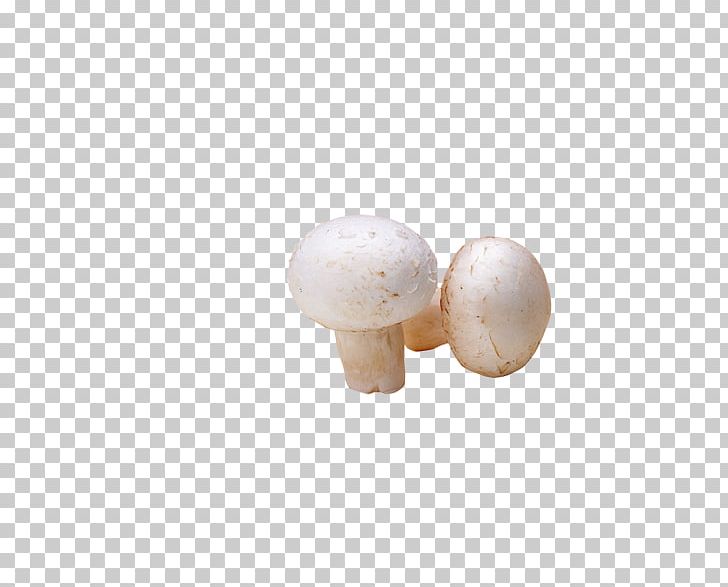 Common Mushroom PNG, Clipart, Agaricaceae, Background White, Black White, Body Jewelry, Common Mushroom Free PNG Download