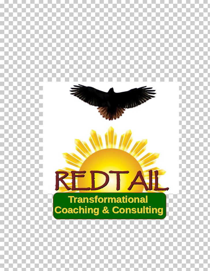Eagle Logo Advertising Red-tailed Hawk Brand PNG, Clipart, Advertising, Animals, Beak, Bird Of Prey, Brand Free PNG Download