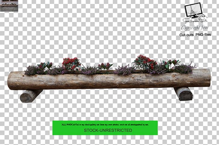 Tree Furniture Bac A Fleurs Trunk Wood PNG, Clipart, Evergreen, Flower, Furniture, Garden, Nature Free PNG Download