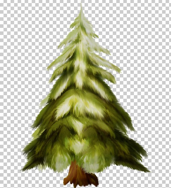 Christmas Tree Christmas Ornament Fir Spruce Pine PNG, Clipart, Branch, Christmas, Christmas Decoration, Christmas Ornament, Christmas Stockings Free PNG Download