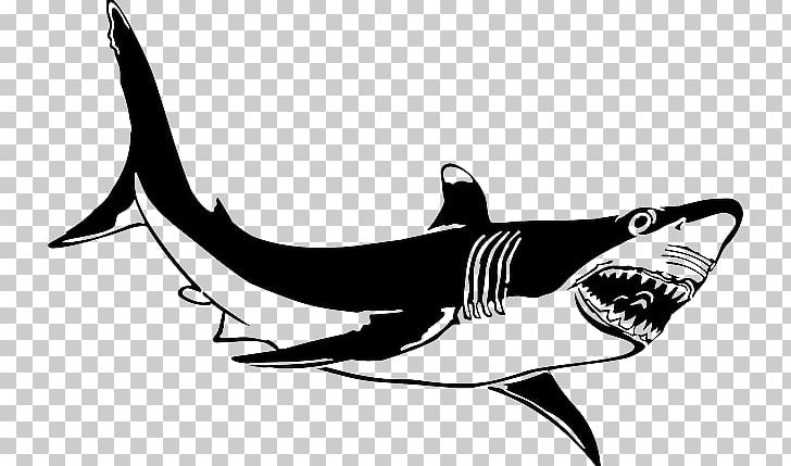 Great White Shark Lamniformes Tiger Shark PNG, Clipart, Automotive Design, Black And White, Bull Shark, Fauna, Lamniformes Free PNG Download
