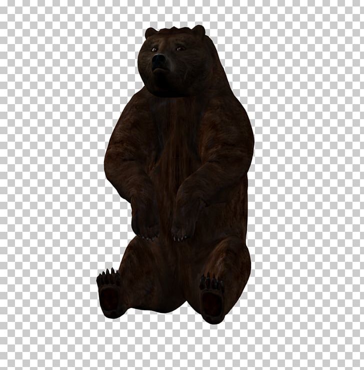 Grizzly Bear DAS Productions Inc 4 January PNG, Clipart, 4 August, 4 January, Animals, Bear, Brown Bear Free PNG Download