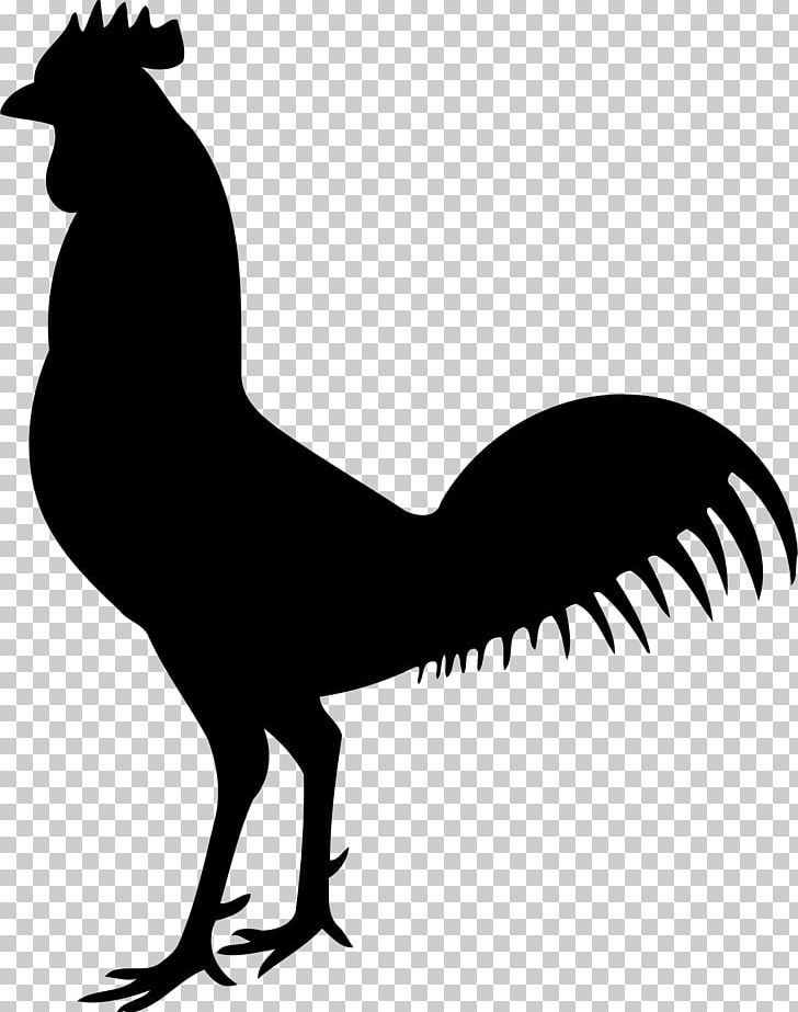 Chicken Bird Human Skeleton Bone PNG, Clipart, Animals, Beak, Bird, Black And White, Chicken Free PNG Download