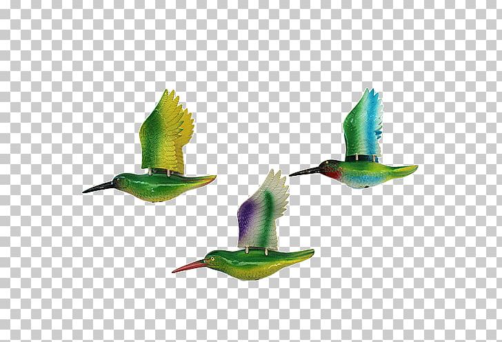 Fauna Hummingbird M Beak Feather PNG, Clipart, Animals, Beak, Bird, Fauna, Feather Free PNG Download