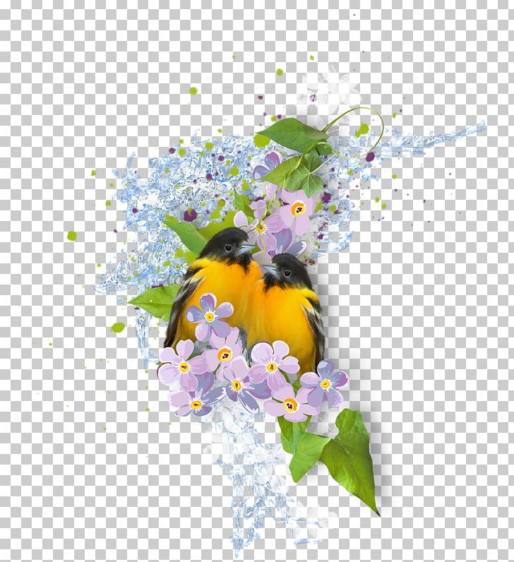Floral Design Musical Composition PNG, Clipart, Art, Computer Wallpaper, Desktop Wallpaper, Flora, Floral  Free PNG Download