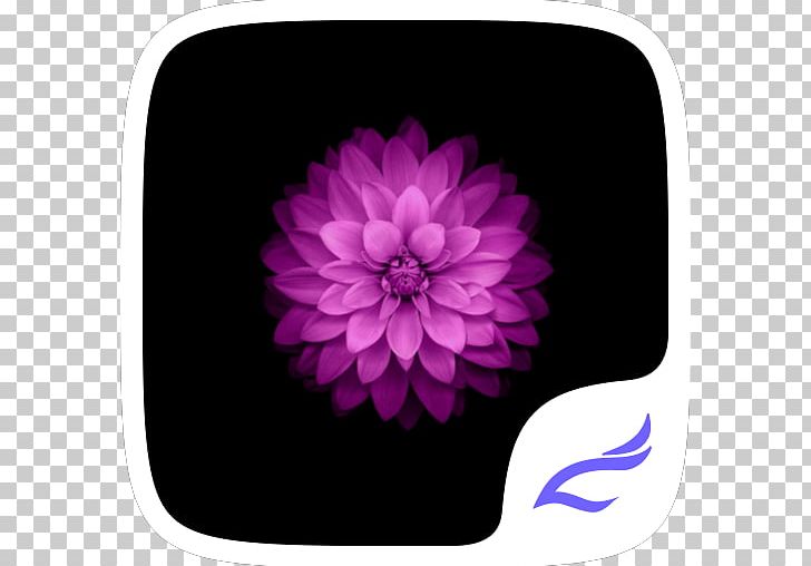 IPhone 4S IPhone 6 IPhone X PNG, Clipart, Computer, Dahlia, Desktop Wallpaper, Flower, Flowering Plant Free PNG Download