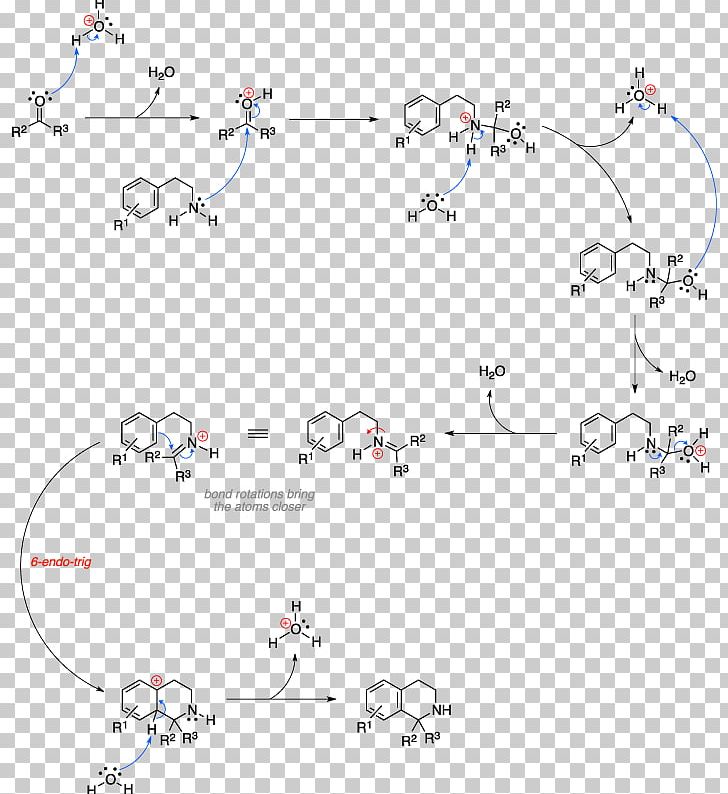 Pictet–Spengler Reaction Isoquinoline Organic Chemistry Chemical Synthesis Organic Synthesis PNG, Clipart, Aldehyde, Angle, Area, Biginelli Reaction, Chemical Reaction Free PNG Download