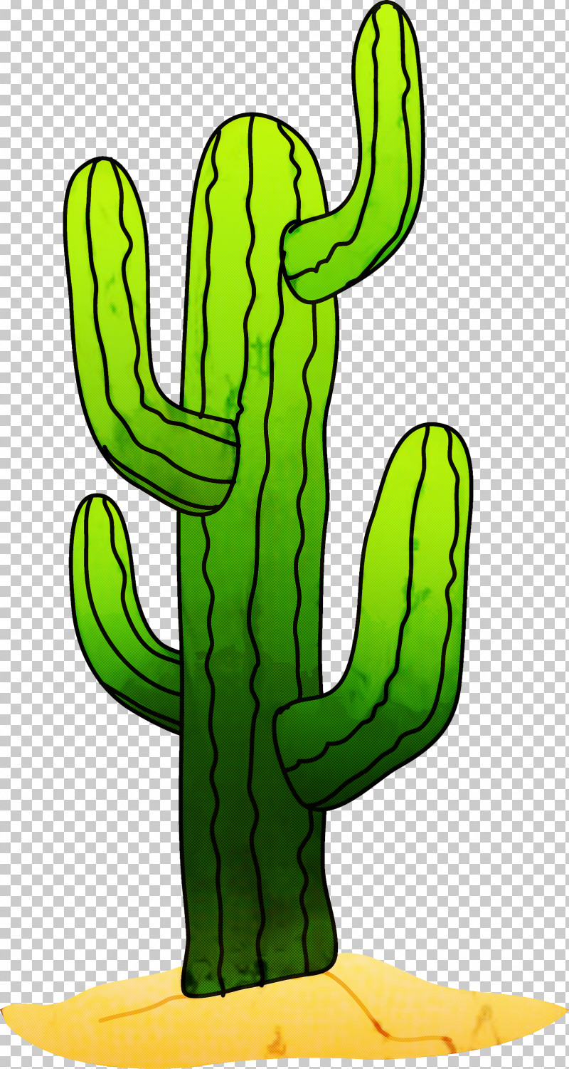 Cactus PNG, Clipart, Cactus, Cartoon, Caryophyllales, Flower, Green Free PNG Download