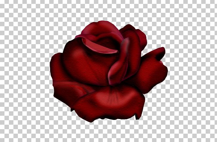 Garden Roses Painting Flower Red PNG, Clipart, Art, Cicek, Cicekler, Cicek Resim, Cicek Resimleri Free PNG Download