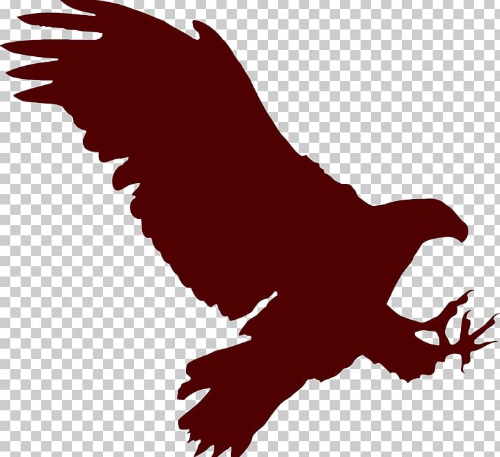 Bald Eagle Paper Silhouette PNG, Clipart, Art, Bald Eagle, Beak, Bird, Bird Of Prey Free PNG Download