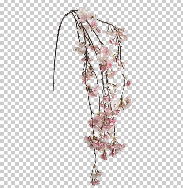Cherry Blossom Flower Tokyo Ghoul Brazil Floral Design PNG, Clipart, Angelica, Blossom, Branch, Brazil, Cherry Free PNG Download