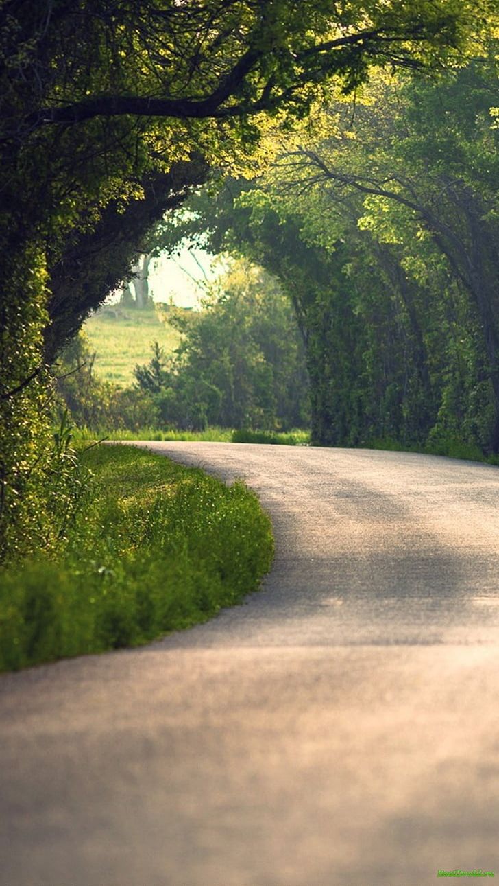 Laptop Nature Desktop High-definition Video 1080p PNG, Clipart, 4k  Resolution, Asphalt, Biome, Branch, Computer Wallpaper