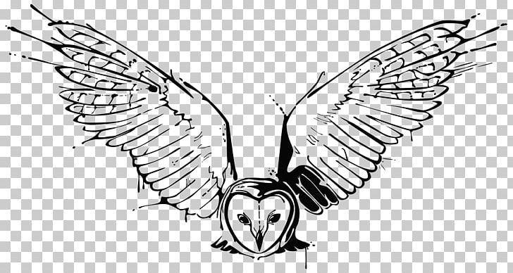 Owl Drawing Tattoo Sketch PNG, Clipart, Artwork, Beak, Bird, Black And White, Chicken Free PNG Download