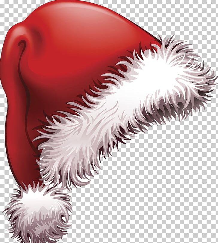 Santa Claus Christmas Hat PNG, Clipart, Advertisement Design, Atmosphere, Bonnet, Chef Hat, Christmas Card Free PNG Download