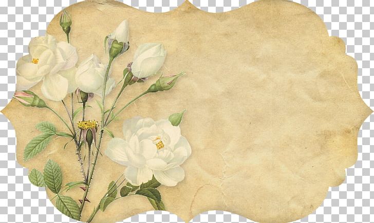 Paper Flower Botany Botanical Illustration Painting PNG, Clipart, Art, Botanical Illustration, Botany, Cut Flowers, Dishware Free PNG Download