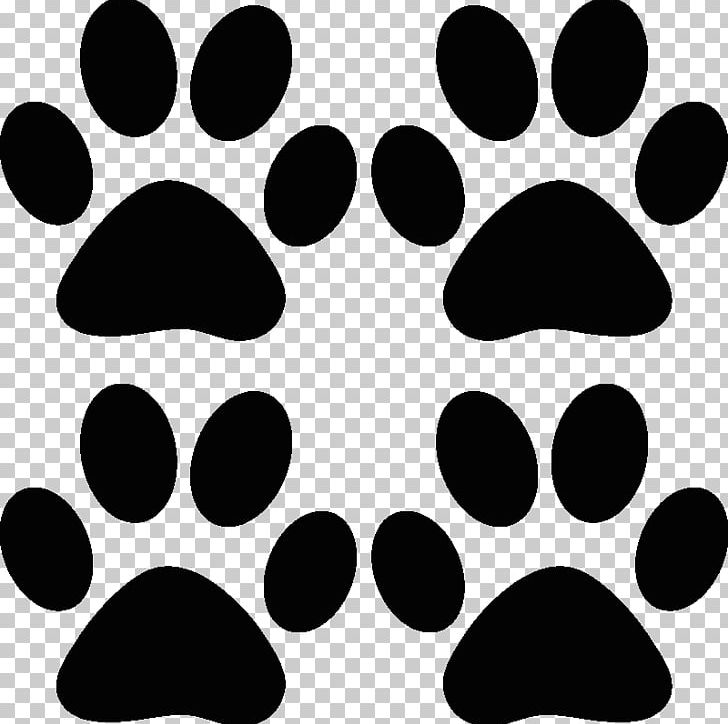 Paw Giant Panda Puppy Samoyed Dog PNG, Clipart, Animals, Bear, Black, Black And White, Breed Free PNG Download