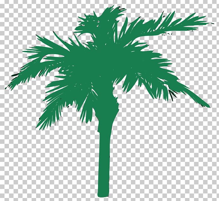 Asian Palmyra Palm Silhouette PNG, Clipart, 500 X, Animals, Arecales, Art, Asian Palmyra Palm Free PNG Download