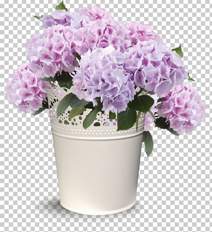 Hydrangea Floral Design Cut Flowers Flowerpot PNG, Clipart, Cornales, Cut Flowers, Family, Floral Design, Floristry Free PNG Download