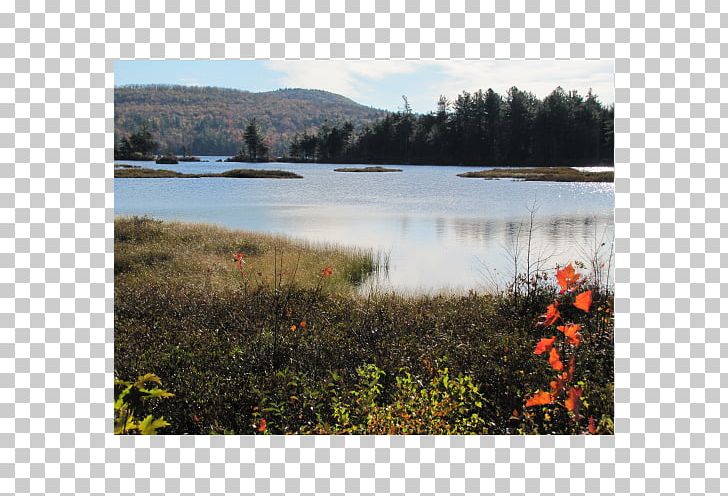 Loch Water Resources Lake District Nature Reserve Plant Community PNG, Clipart, Bog, Community, Floodplain, Inlet, Kettle Free PNG Download