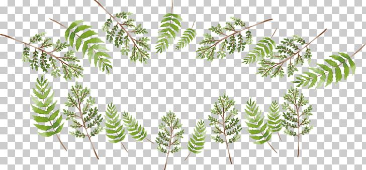 Branch Green Watercolor Painting PNG, Clipart, Box Vector, Christmas Tree, Computer Icons, Computer Software, Grass Free PNG Download