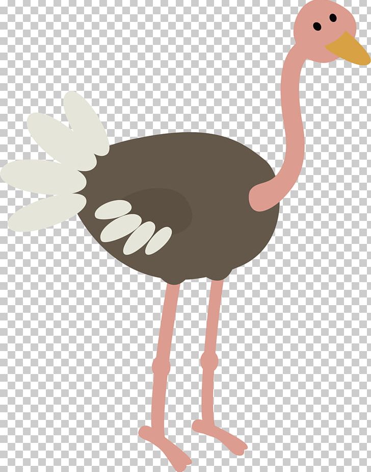 Common Ostrich Bird Animal Illustration PNG, Clipart, Animal, Background Gray, Ball, Bird, Cartoon Free PNG Download