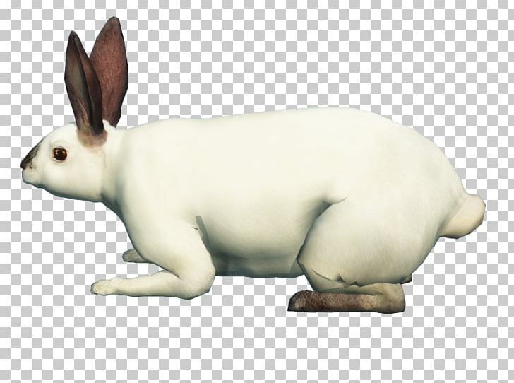Domestic Rabbit Hare Dog Snout Canidae PNG, Clipart, 1 June, Animal, Animal Figure, Animals, Canidae Free PNG Download